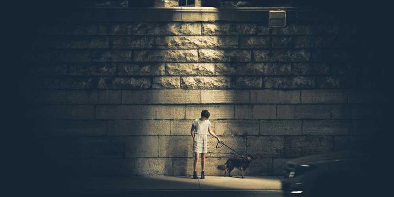 The Ultimate Guide to what is better Elementor or Oxygen?